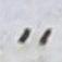 Punctuation - #20045