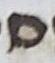Letter - #20053