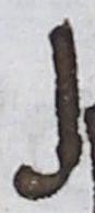 Letter - #20074