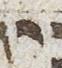 Letter - #20766