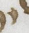 Letter - #20882