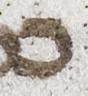 Letter - #20903