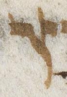 Letter - #20955