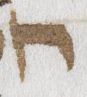 Letter - #21007
