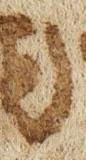 Letter - #21069