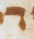 Letter - #21135