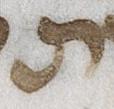 Letter - #21203