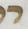 Letter - #21213
