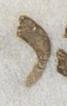 Letter - #21225
