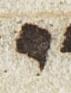 Letter - #21256