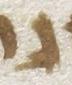 Letter - #21294