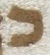 Letter - #21304