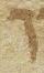 Letter - #21405