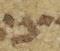 Letter - #21420