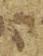 Letter - #21422