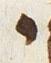 Letter - #21445