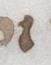 Letter - #21551