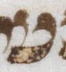 Letter - #21704