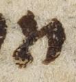 Letter - #21791