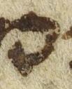 Letter - #21820