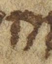 Letter - #21825
