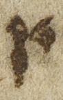 Letter - #21831
