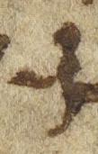 Letter - #21843