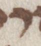Letter - #21888