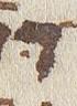 Letter - #21915