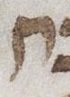 Letter - #21931