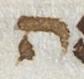Letter - #21989