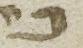 Letter - #22001