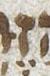 Letter - #22182