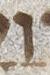 Letter - #22187