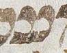 Letter - #22371