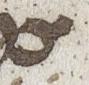 Letter - #22387