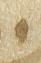 Letter - #22494