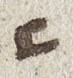 Letter - #22647