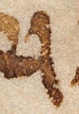 Letter - #22769