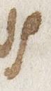 Letter - #22800