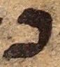 Letter - #22802