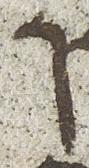 Letter - #22870