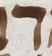Letter - #22875