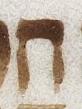 Letter - #22880