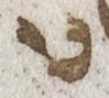 Letter - #22904