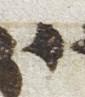 Letter - #22962