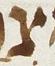 Letter - #22970