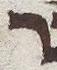 Letter - #23002