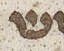 Letter - #23030