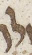 Letter - #23034